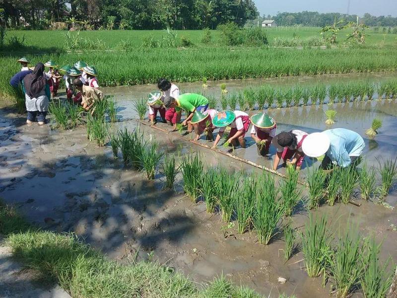 Narti Homestay by ZUZU - Genel
