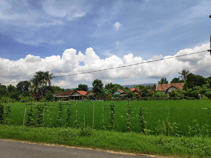 Gini Homestay by ZUZU - Genel