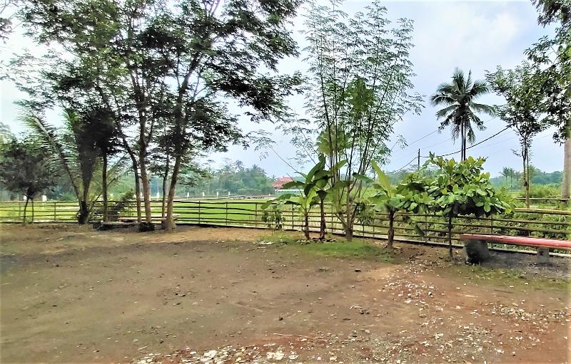Homestay Griya Merpil by ZUZU - Genel