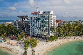 Kaani Palm Beach fotoÄŸrafÄ±