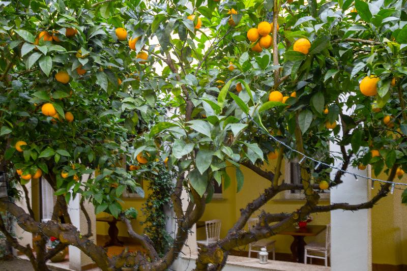 Palazzo Cappuccini Art Relais - Restoran