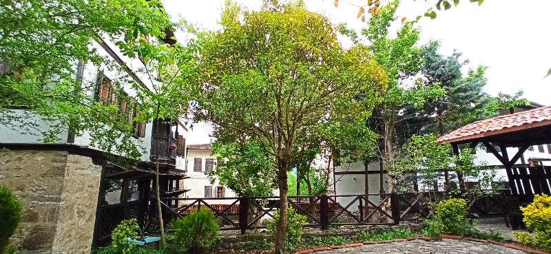 Paphlagonia Yoruk Mansion - Genel