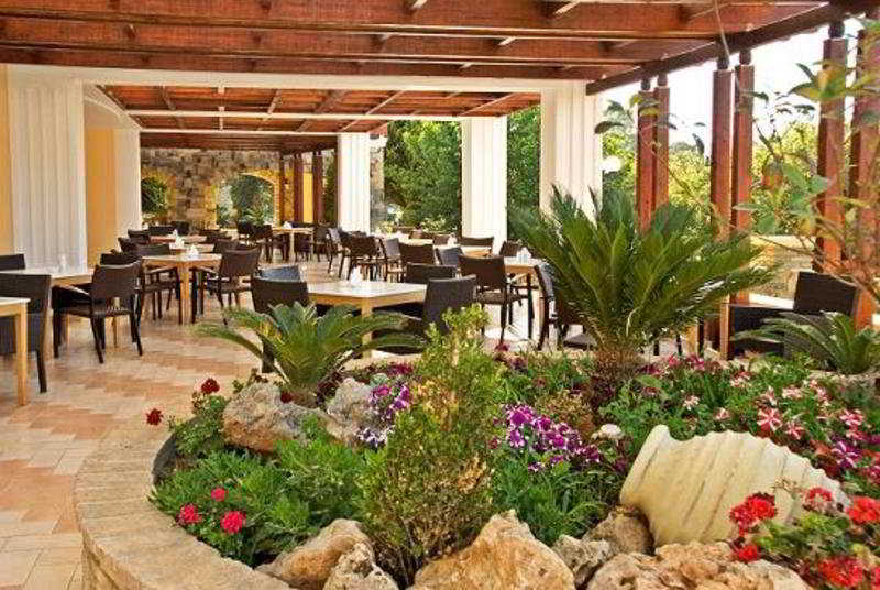 Crithoni's Paradise - Genel