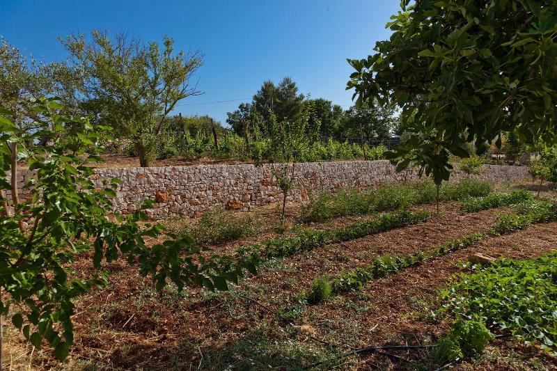 Borgo Del Tempo Ritrovato - Oda