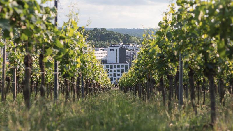 Holiday Inn - the niu, Form Stuttgart Feuerbach - Genel