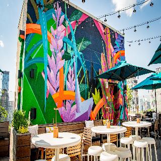 Arlo Midtown fotoÄŸrafÄ±