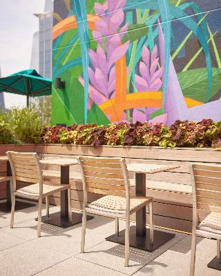 Arlo Midtown fotoÄŸrafÄ±