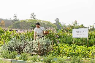 Melia Chiang Mai fotoÄŸrafÄ±