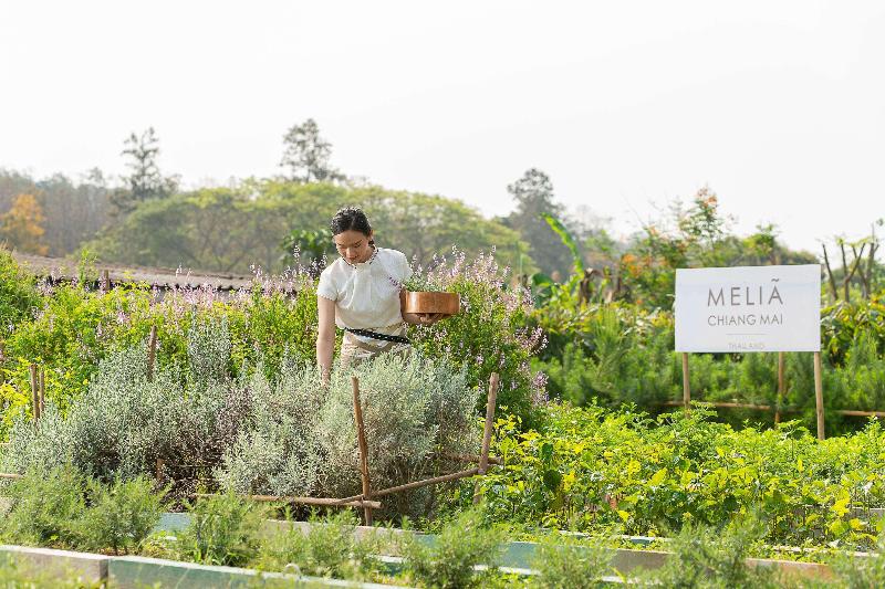 Melia Chiang Mai - Genel