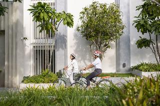 The Culture Samui fotoÄŸrafÄ±