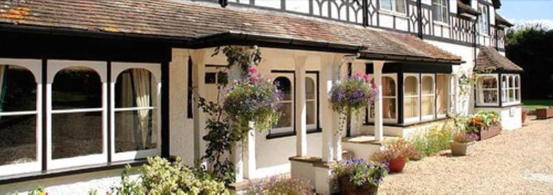 South Lawn - Genel