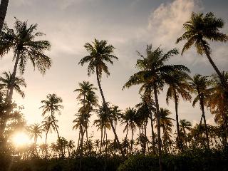 Patina Maldives, Fari Islands fotoÄŸrafÄ±
