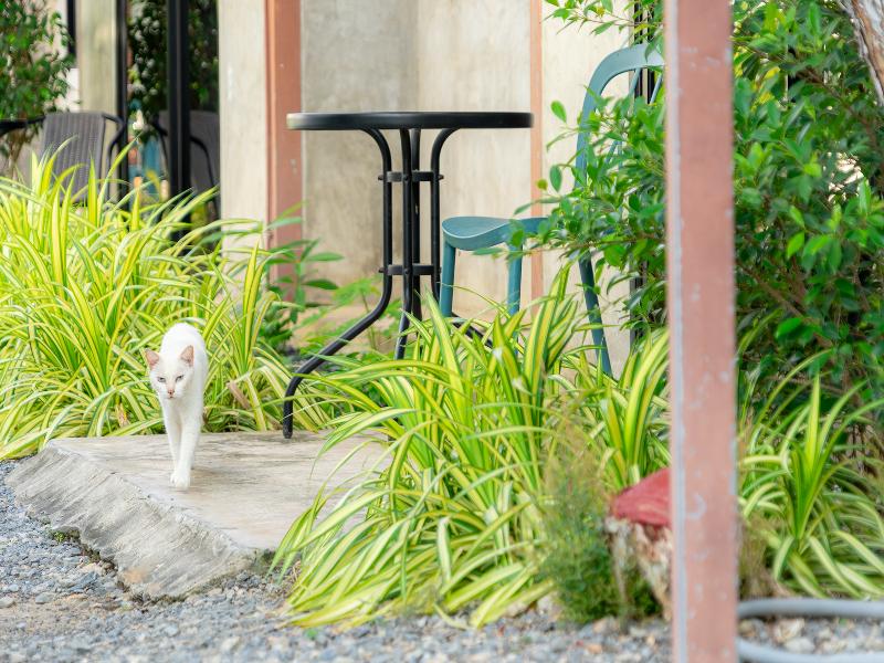 Malinee Resort by ZUZU - Lobi