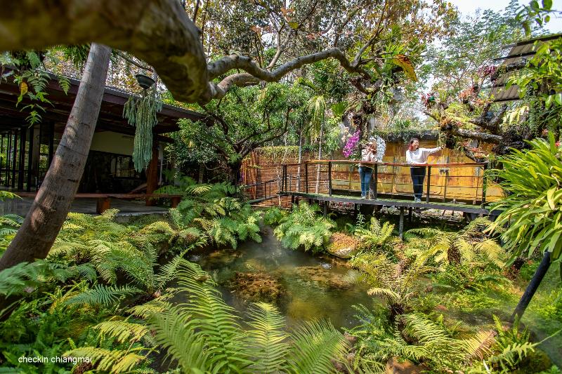Royal Train Garden Resort by ZUZU - Genel