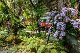 Royal Train Garden Resort by ZUZU fotoÄŸrafÄ±