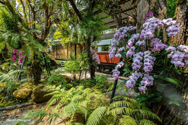 Royal Train Garden Resort by ZUZU - Genel