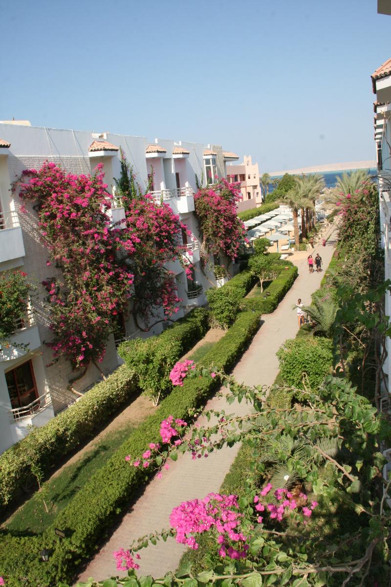 MinaMark Beach Resort - Families & Couples Only - Oda