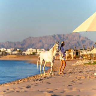 Rixos Premium Magawish Suites And Villas fotoÄŸrafÄ±