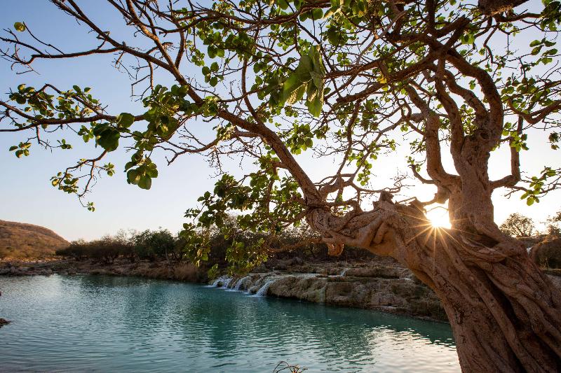 Alila Hinu Bay - Aktivite