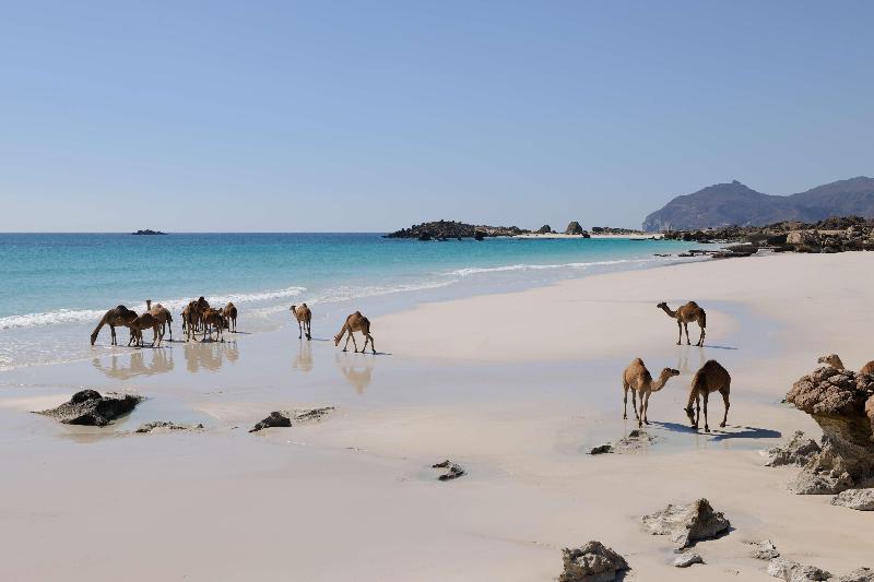 Alila Hinu Bay - Aktivite