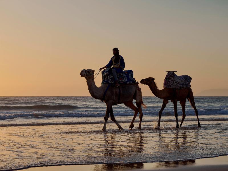 Fairmont Taghazout Bay - Aktivite