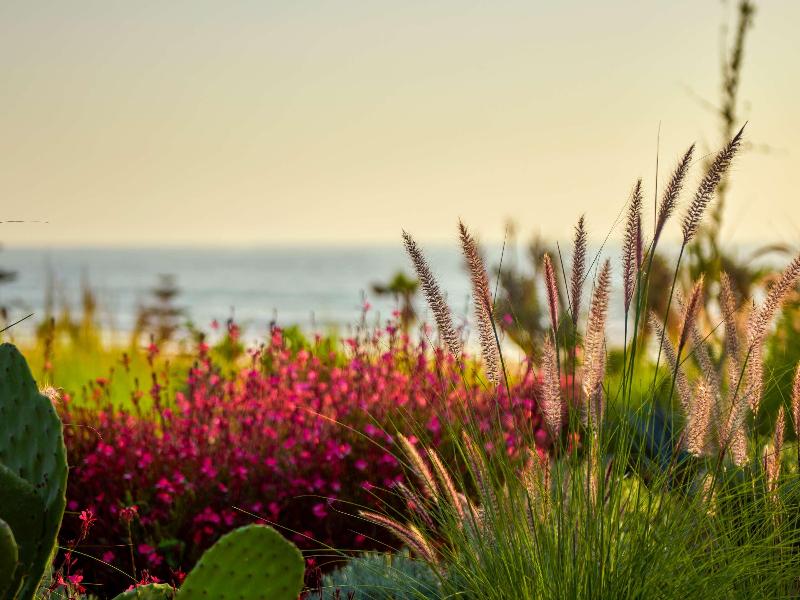 Fairmont Taghazout Bay - Aktivite
