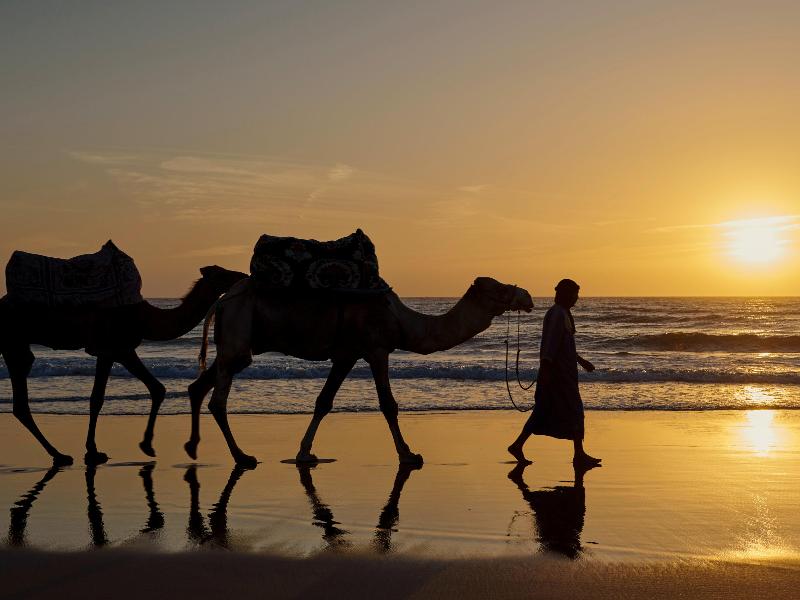 Fairmont Taghazout Bay - Aktivite