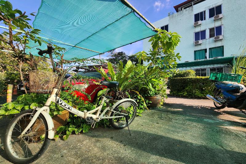 Green Apartment Kaset by ZUZU - Genel