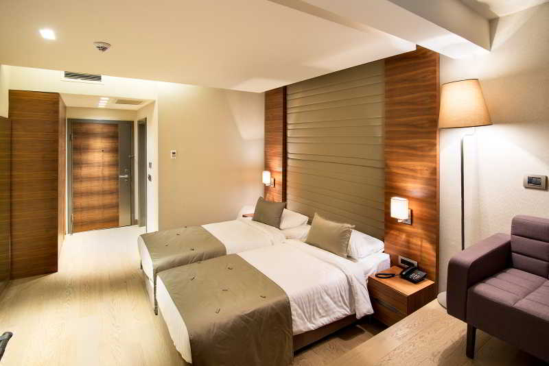 Arcadia Blue Istanbul Hotel fotoÄŸrafÄ±