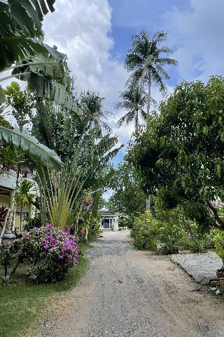 Sea Breeze Bungalow by ZUZU fotoÄŸrafÄ±