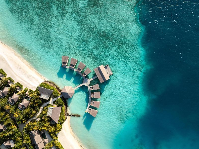 Hilton Maldives Amingiri Resort & Spa - Aktivite