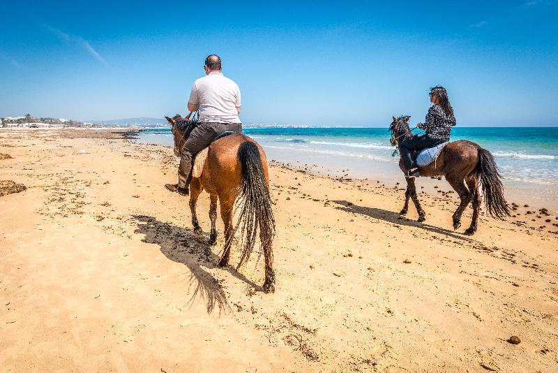 Le Royal Hammamet - Aktivite