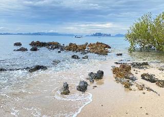 The Parlour Krabi by ZUZU fotoÄŸrafÄ±