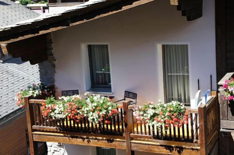 Alpine Lodge - Teras