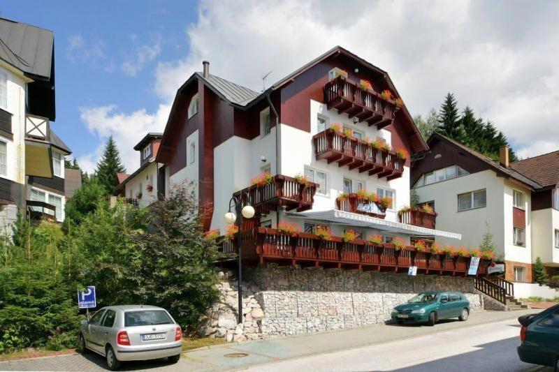 Pension Alba - Genel