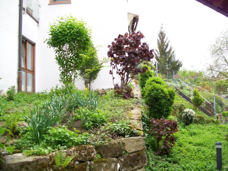 Hotel Gasthof Traube - Genel