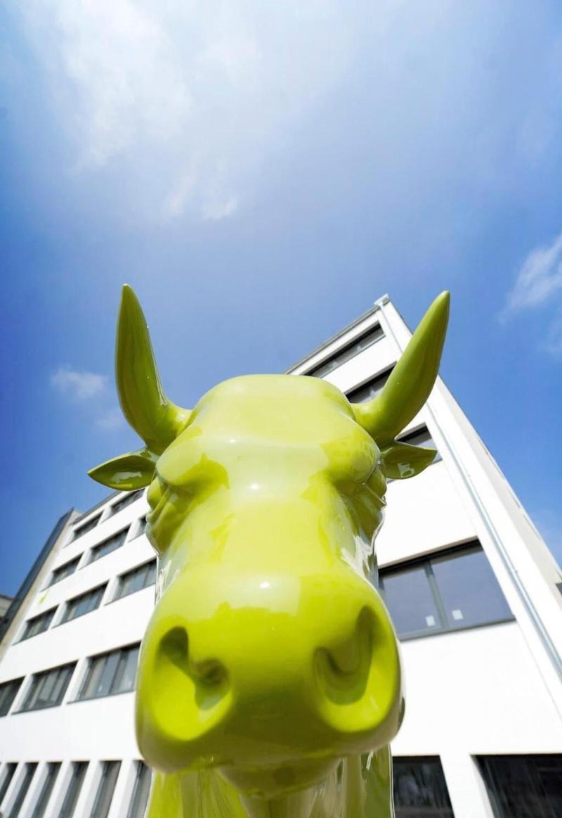 BONNOX Boardinghouse & Hotel - Genel
