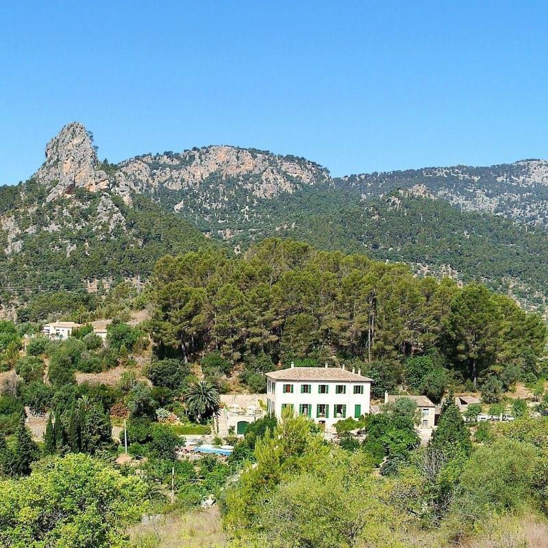 Finca sa MÃ niga - Genel