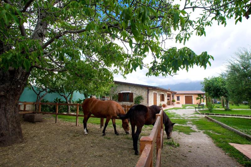 Agriturismo Vivinatura - Aktivite