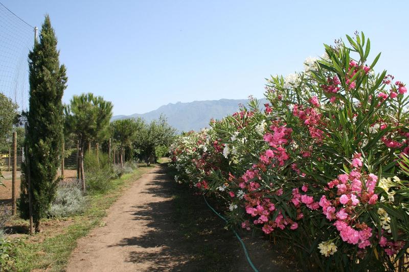 Agriturismo Vivinatura - Genel