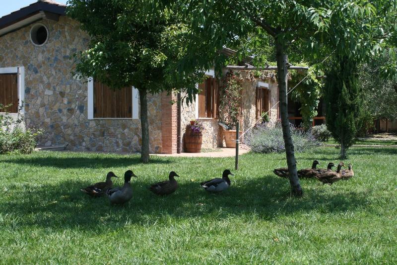 Agriturismo Vivinatura - Genel