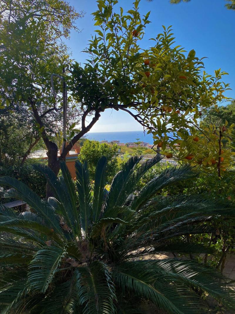Hotel - Giardino Marchese d'Altavilla - Genel