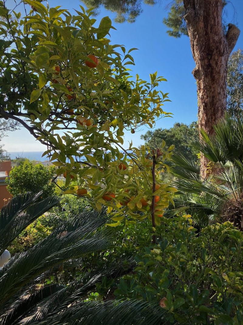 Hotel - Giardino Marchese d'Altavilla - Genel