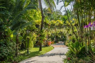 Matcha Samui Resort fotoÄŸrafÄ±
