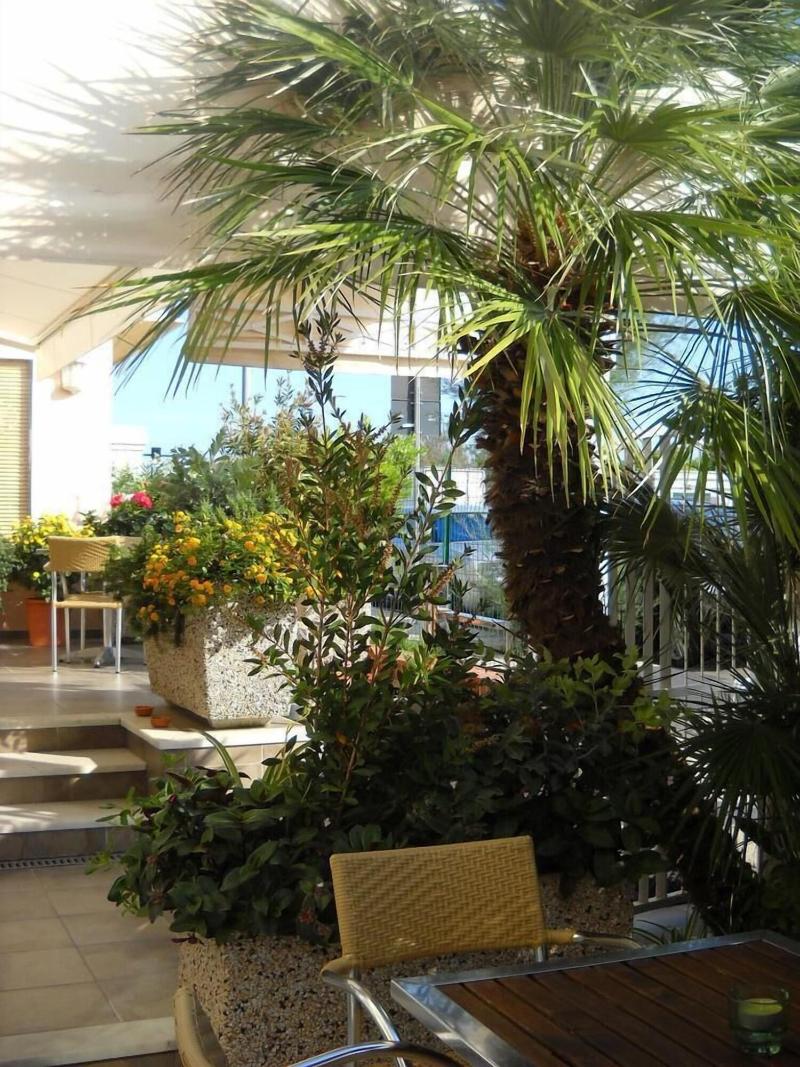 Hotel Bencista - Teras