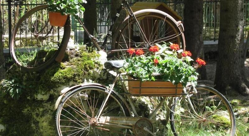 LH Albergo Paradiso - Genel
