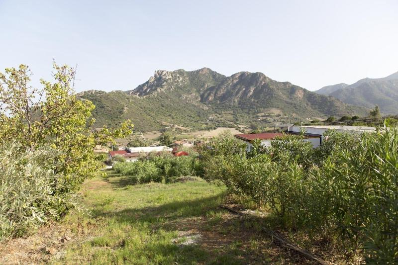 Natur Hotel Tanca - Genel