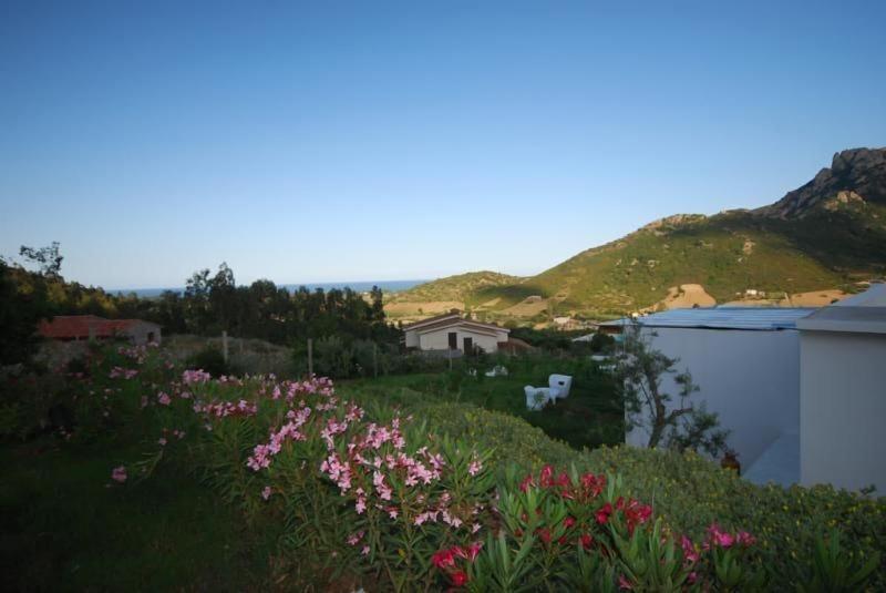 Natur Hotel Tanca - Genel