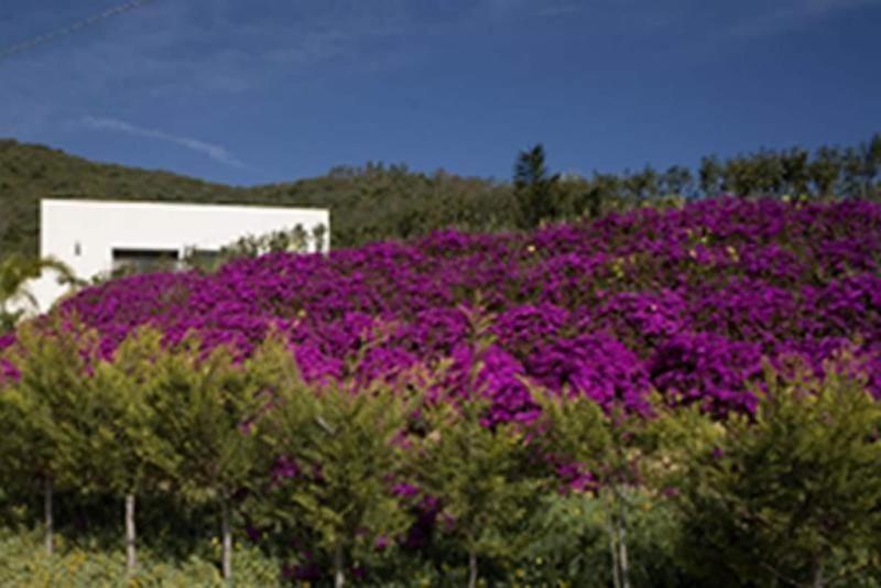 Natur Hotel Tanca - Genel