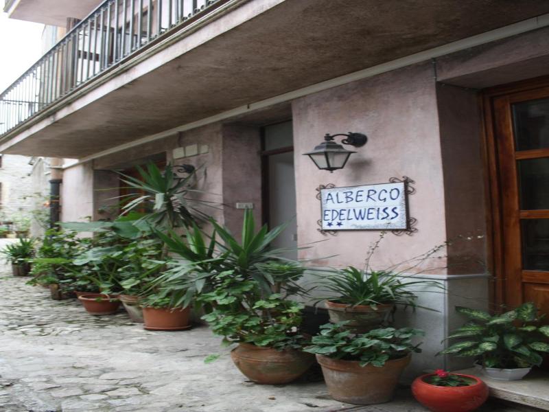 Hotel Edelweiss - Genel